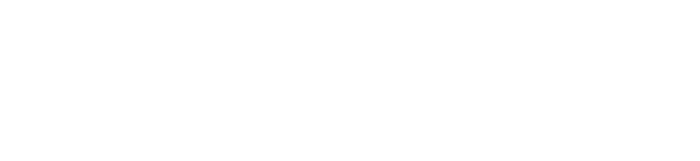 TigerData Brand Logo