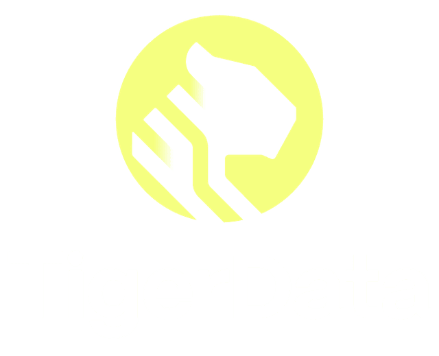 TigerData Brand Logo