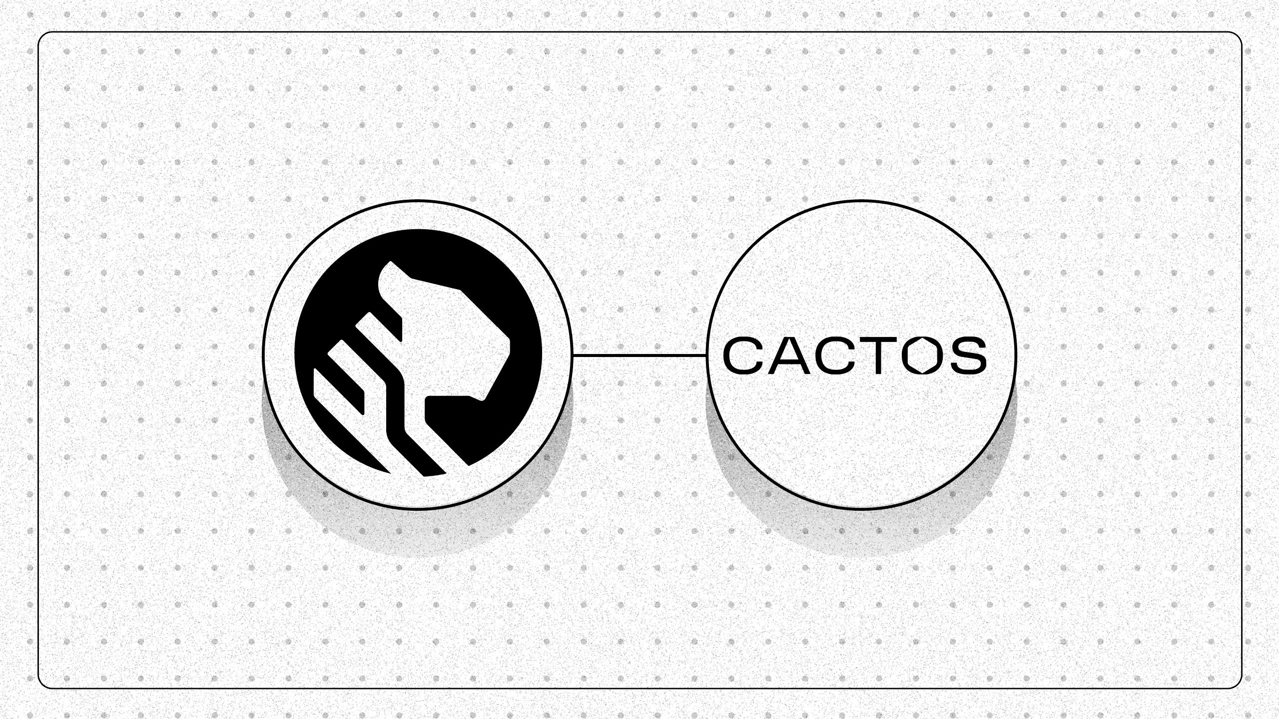 How Cactos Migrated from Amazon RDS and Cut Costs by 55%