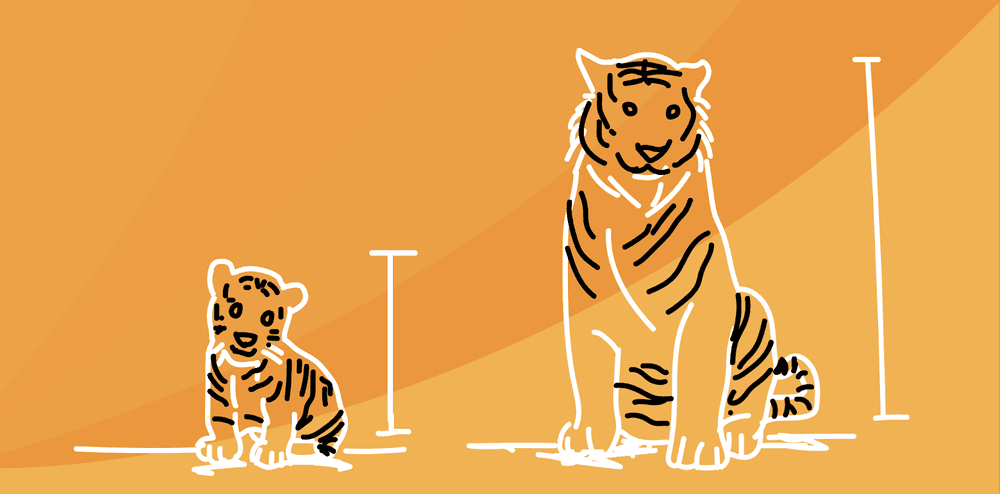 A look back at 2018: Here’s what we accomplished in Timescale’s 2nd year