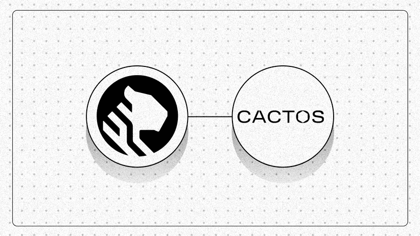How Cactos Migrated from Amazon RDS and Cut Costs by 55%