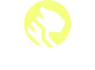 Timescale Brand Logo